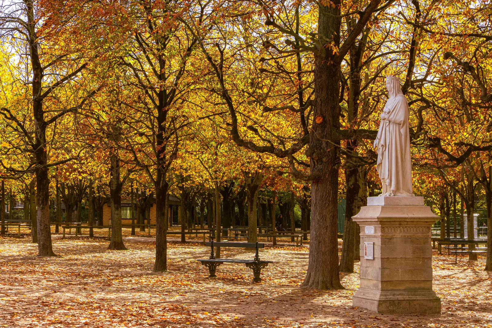 A statue among trees dropping golden leaves in a Paris park in autumn
