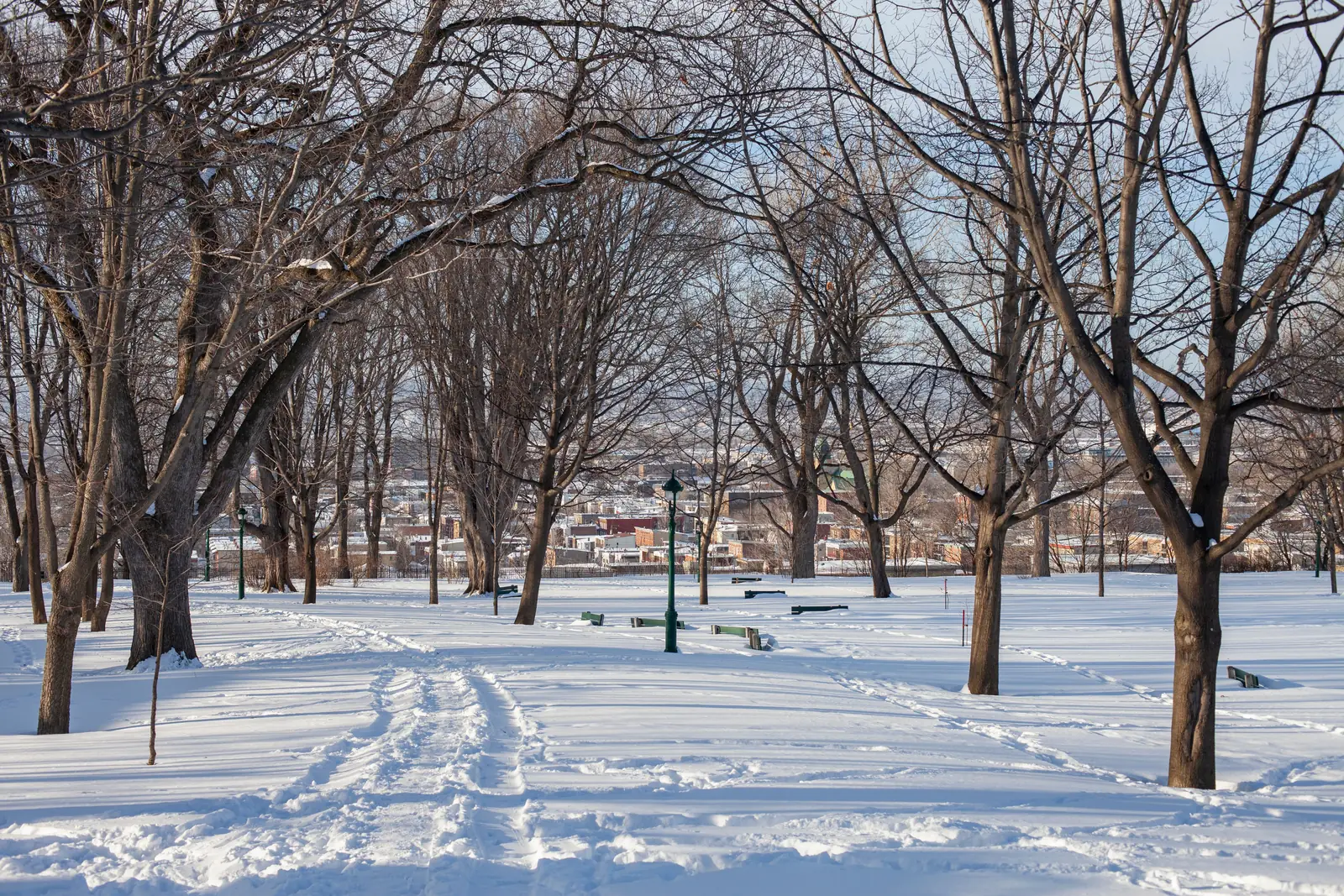 A snowy park in Quebec City lined with bare trees