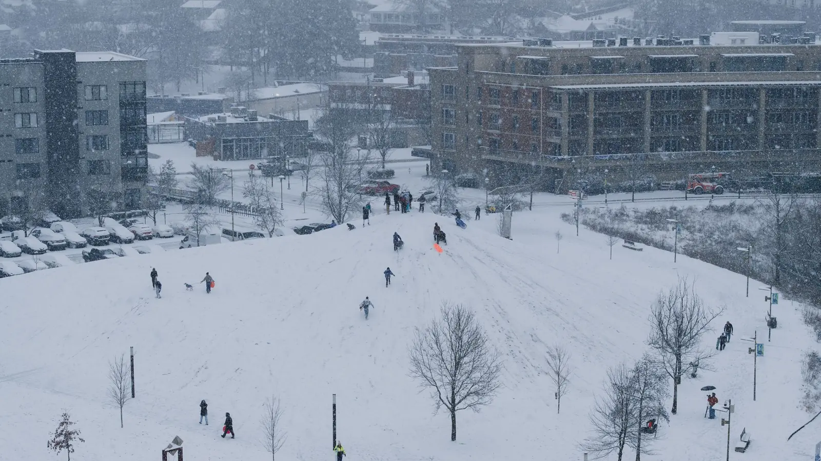 People sledding down a snowy hill in a city park with buildings behind them