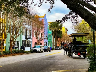 Pastel houses along Rainbow Row in Charleston South Carolina with a live oak overhead