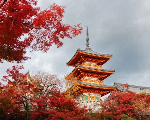 A vermilion pagoda in Kyoto rising above bright red autumn maples