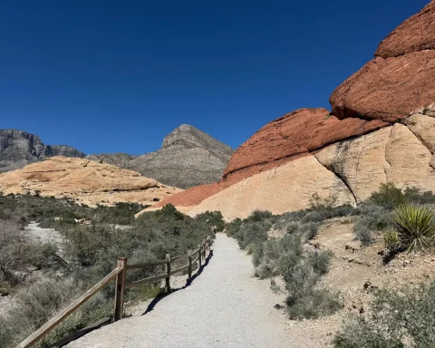 A gravel trail winding between red and cream sandstone in Red Rock Canyon