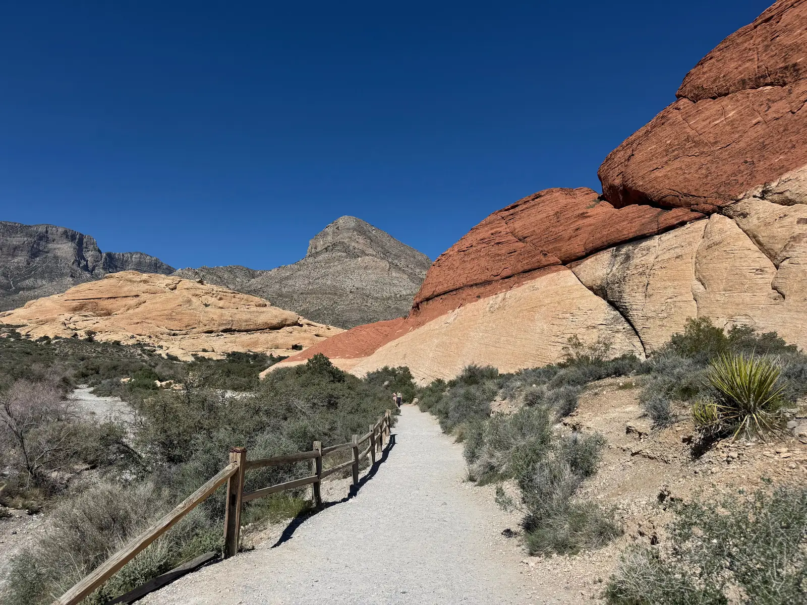 A gravel trail winding between red and cream sandstone in Red Rock Canyon
