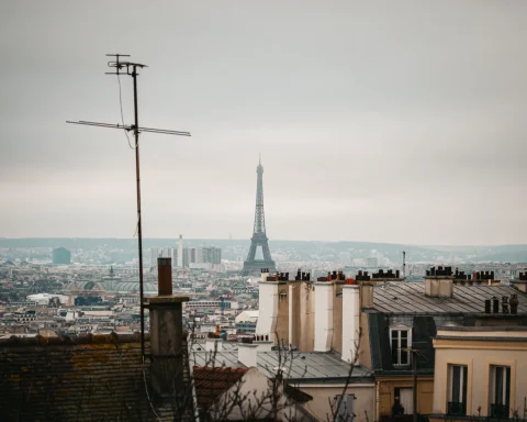Paris rooftops and chimney pots under a soft grey winter sky with the Eiffel Tower in the distance
