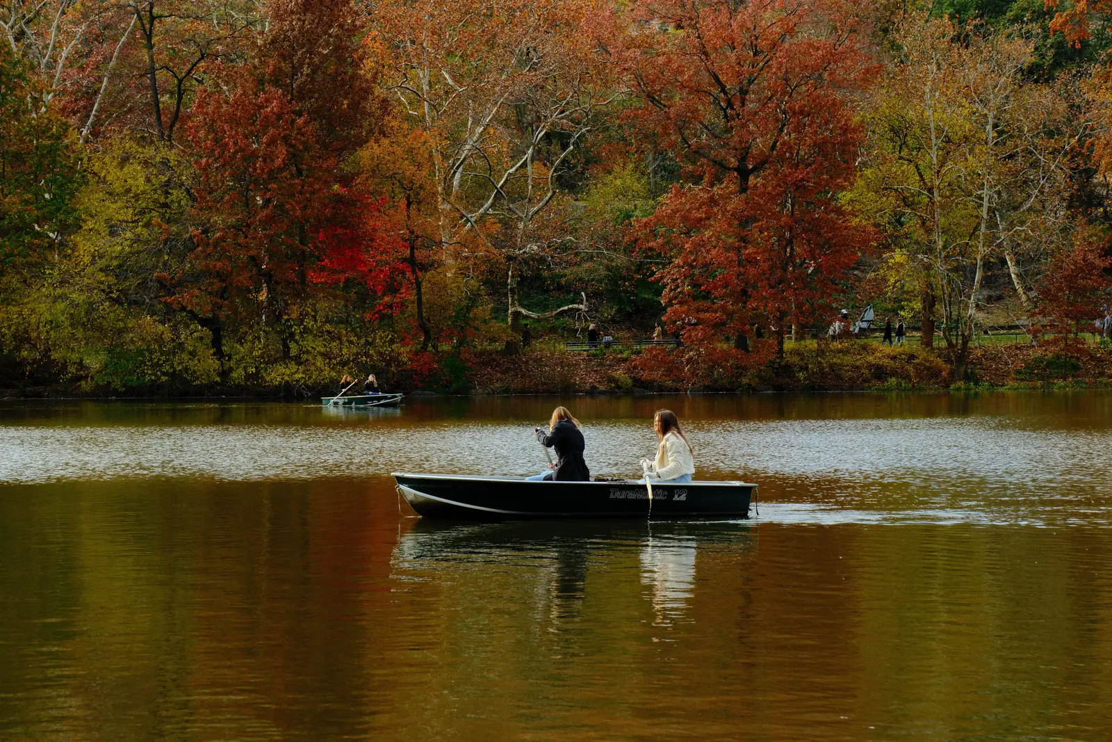 A rowboat on the Central Park lake surrounded by autumn trees
