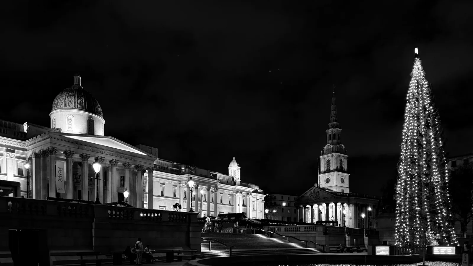 The Christmas tree lit up in Trafalgar Square at night