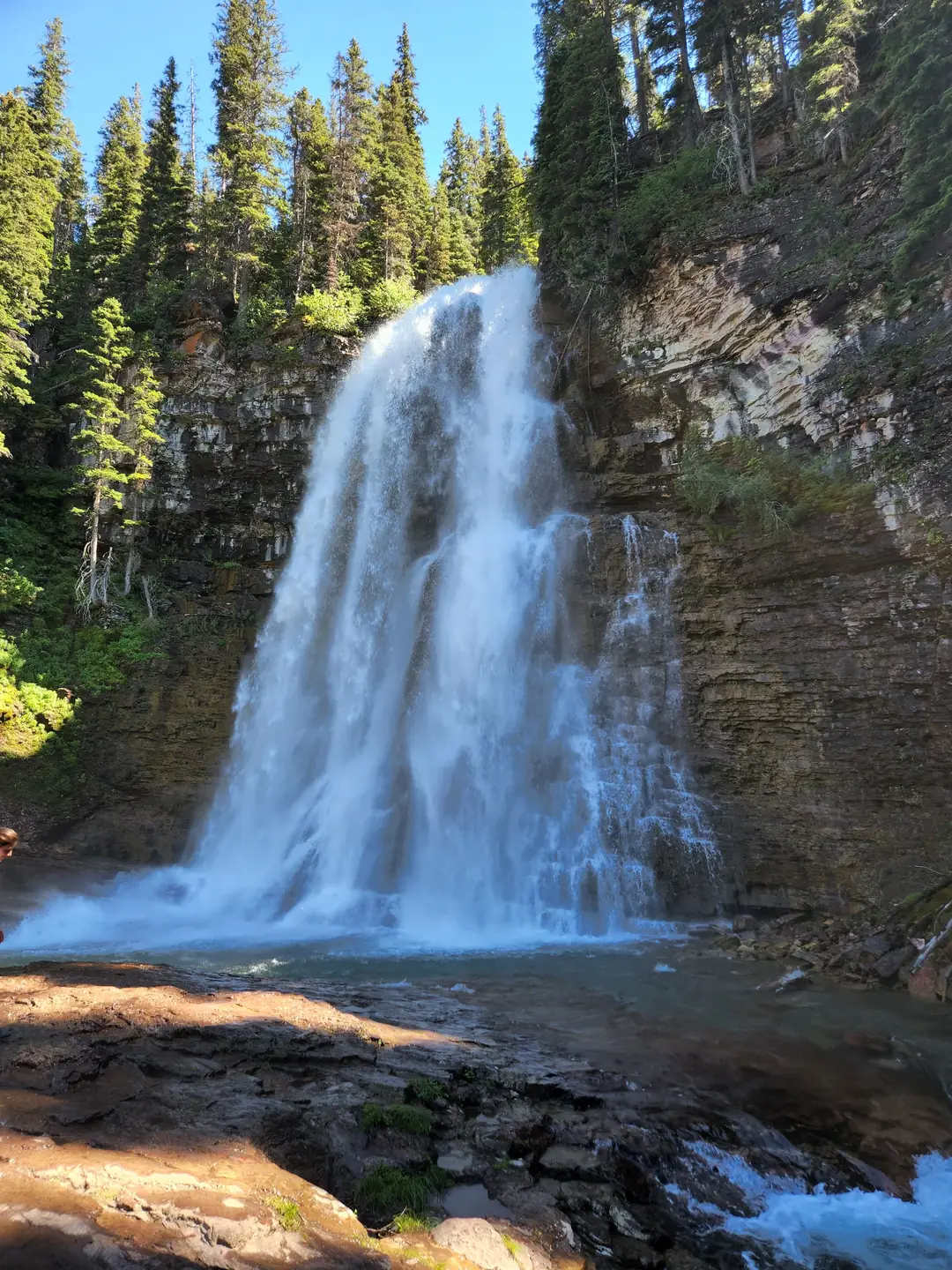 A tall waterfall dropping through the forest in Glacier National Park