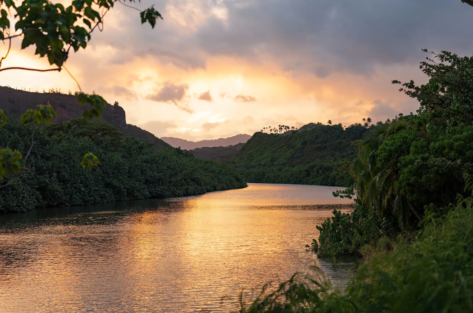 The Wailua River winding through jungle on Kauai at golden hour