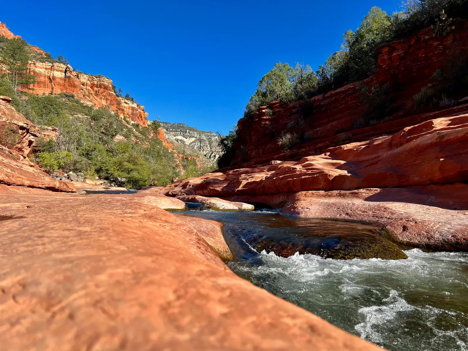A creek running through a narrow red rock canyon near Sedona