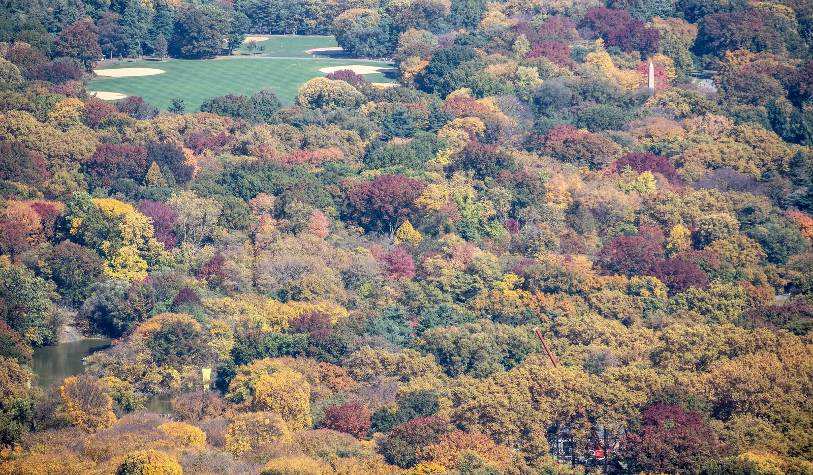 An aerial view of Central Park at peak autumn color