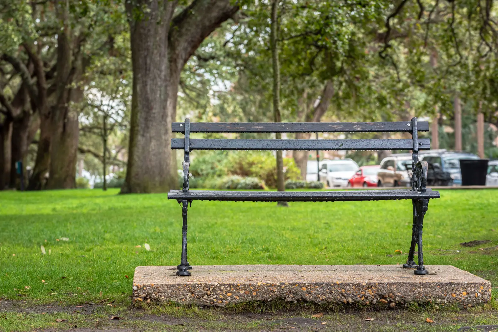 A bench in the shade under live oaks in a Charleston park