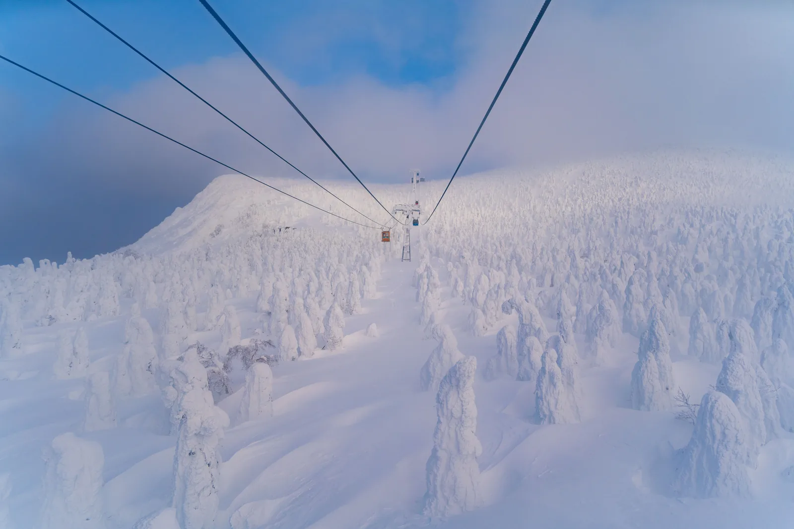 Trees frozen into snow monsters on a mountain in Yamagata