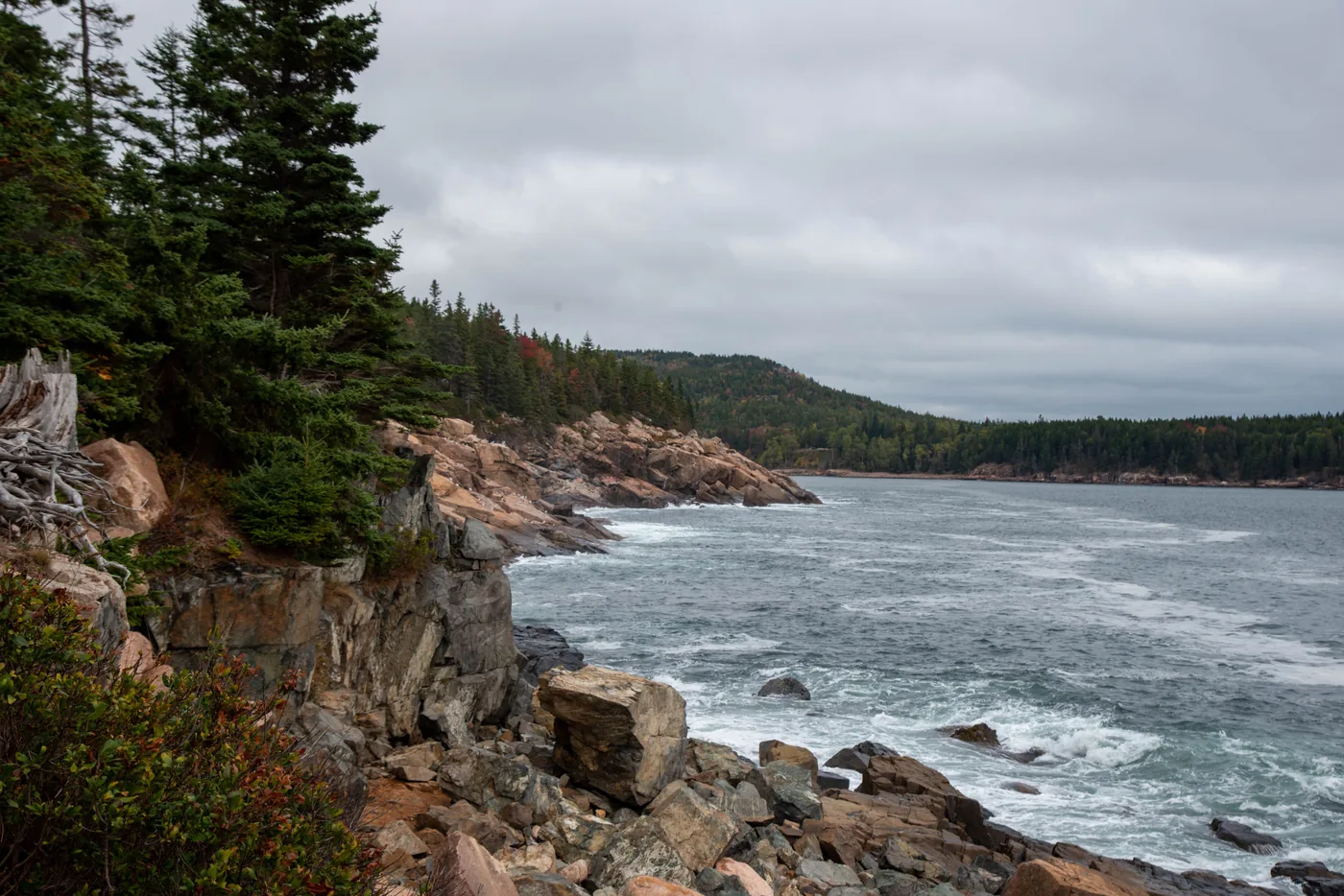 The rocky granite coastline of Acadia National Park in Maine