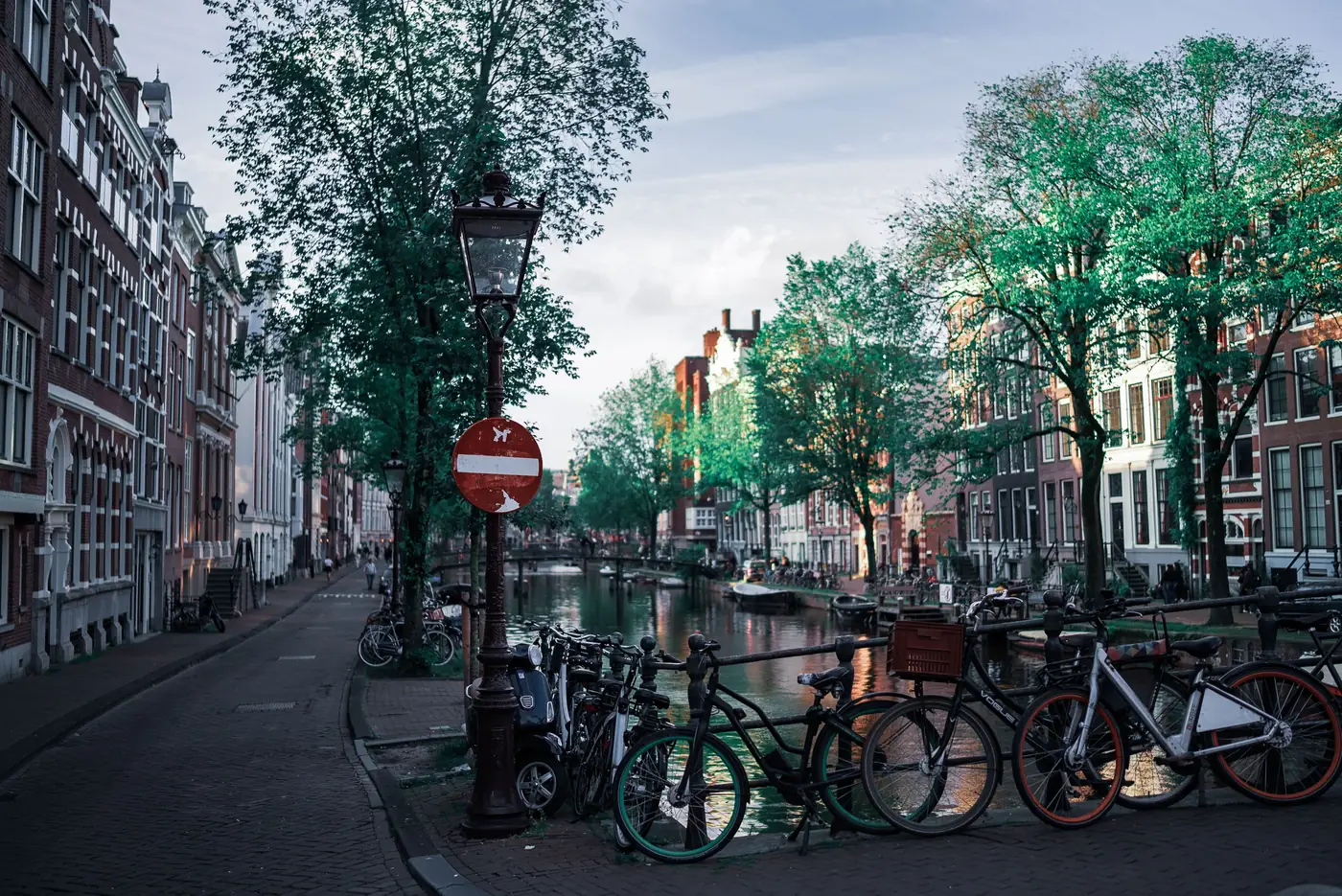 Bicycles parked along a tree lined canal street in Amsterdam
