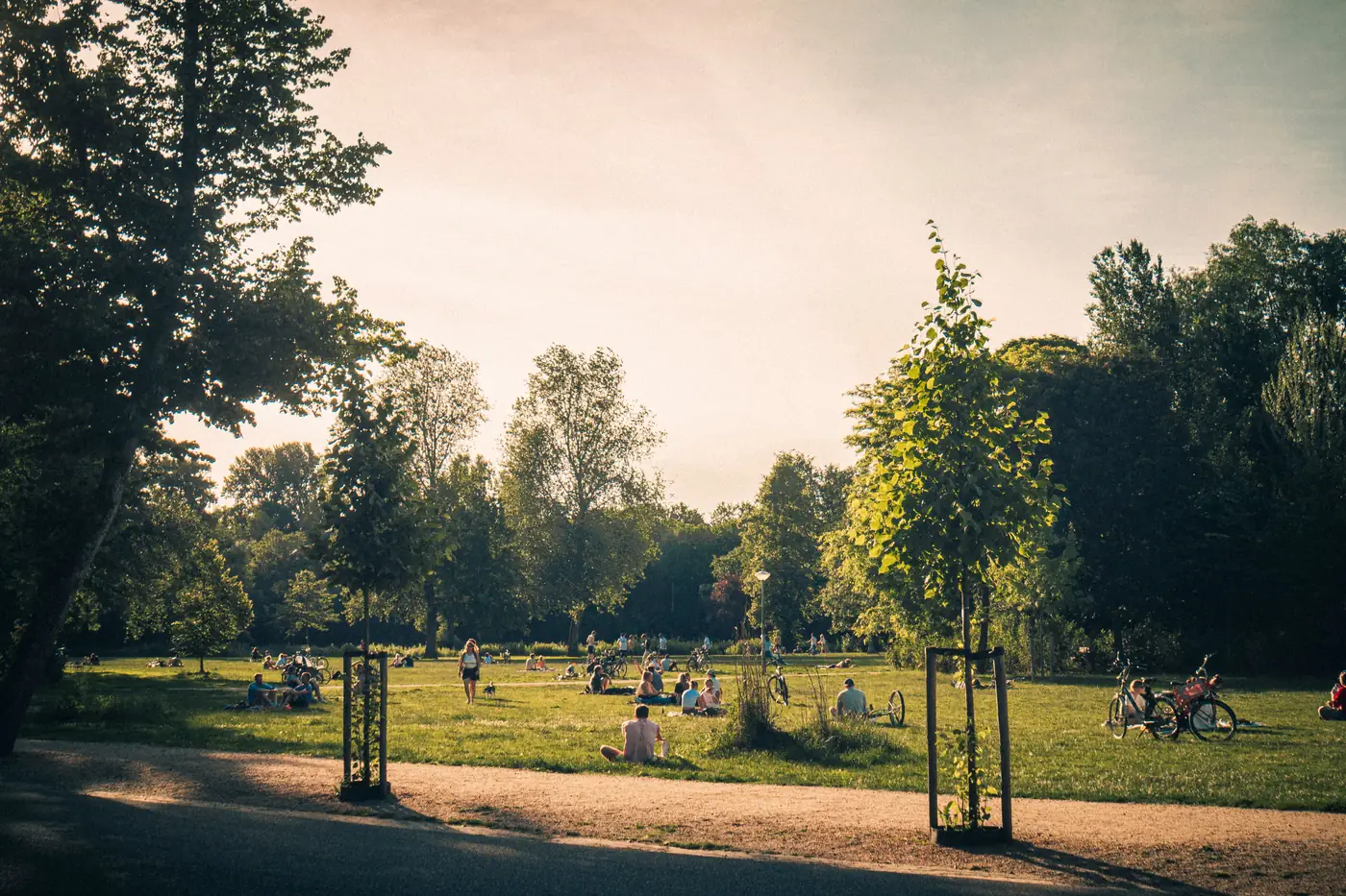 People sitting on the grass in Vondelpark in Amsterdam