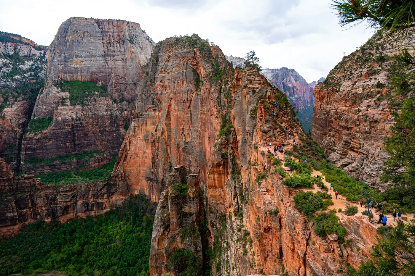 The narrow fin of Angels Landing with hikers on the ridge trail in Zion National Park