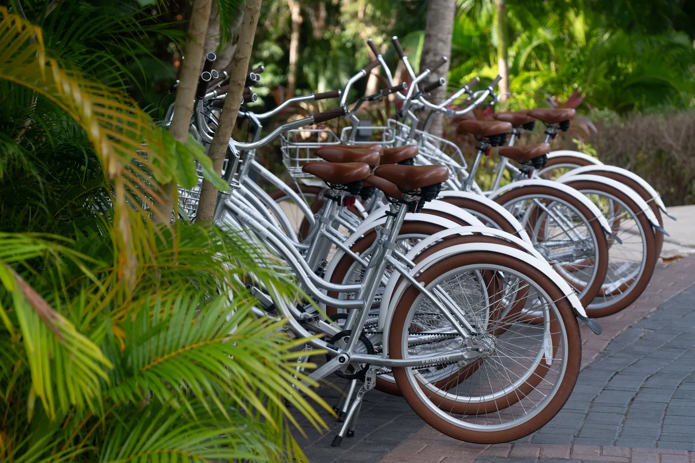 A row of bicycles parked beside tropical greenery