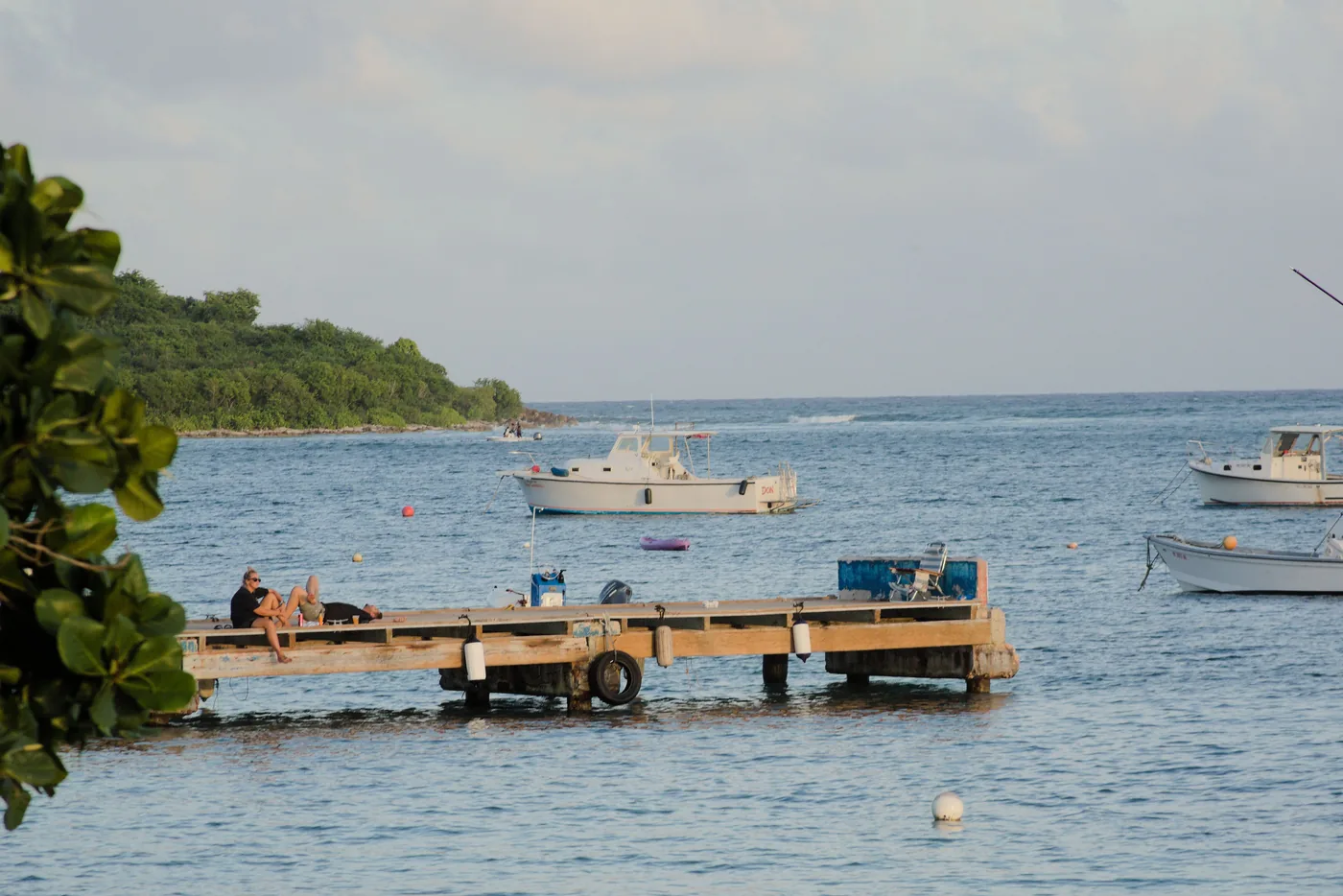 A calm stretch of coast on Vieques, Puerto Rico