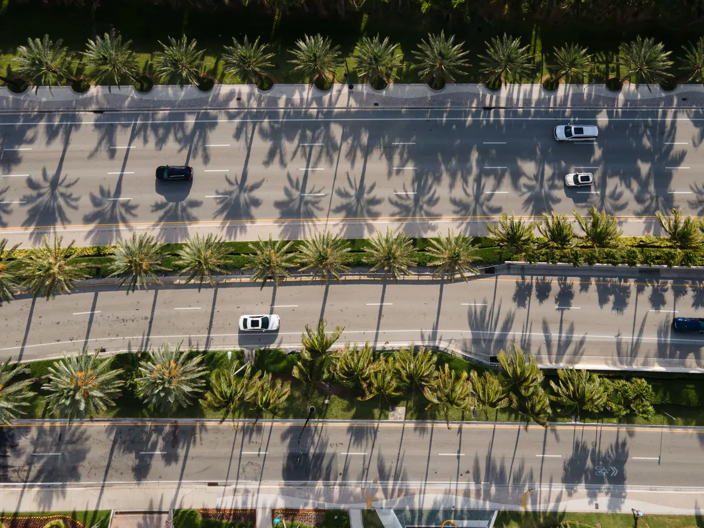 An aerial view of a palm lined road in Sunny Isles Beach, Florida