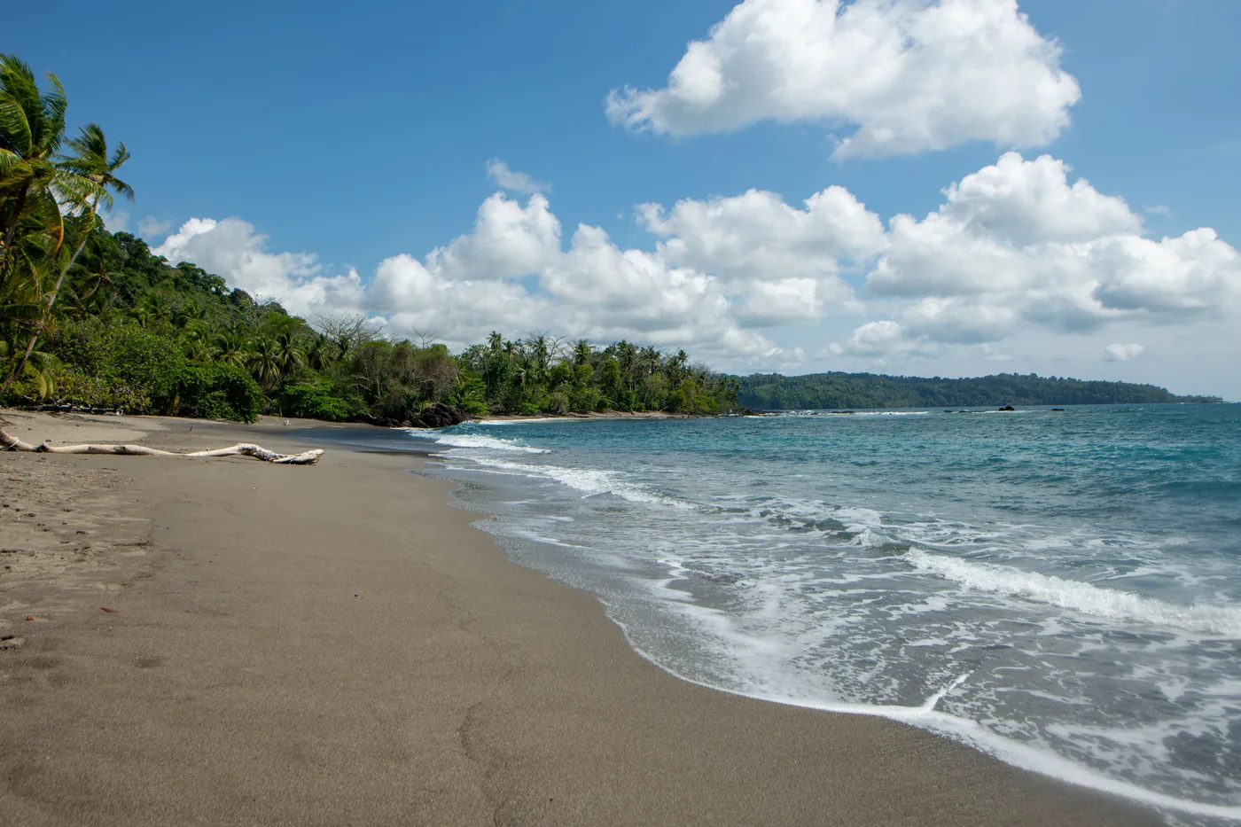 Rainforest running down to an empty Pacific beach in Costa Rica