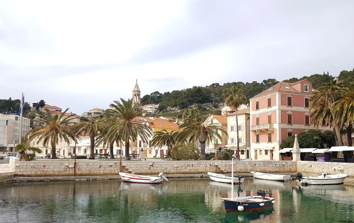 Boats moored in the palm lined harbour of Hvar town, Croatia