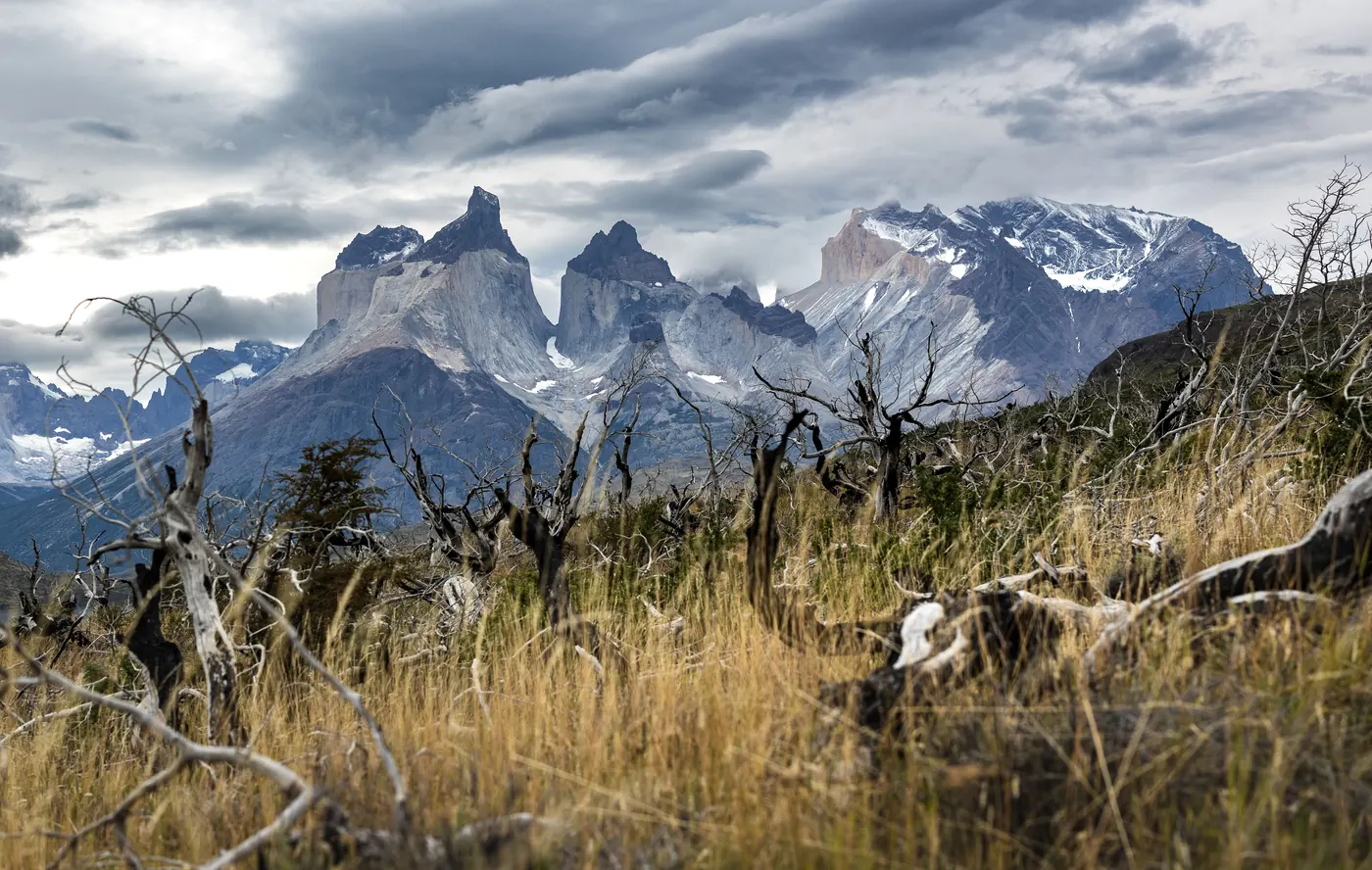 The granite horns of Torres del Paine above open grassland in Chile