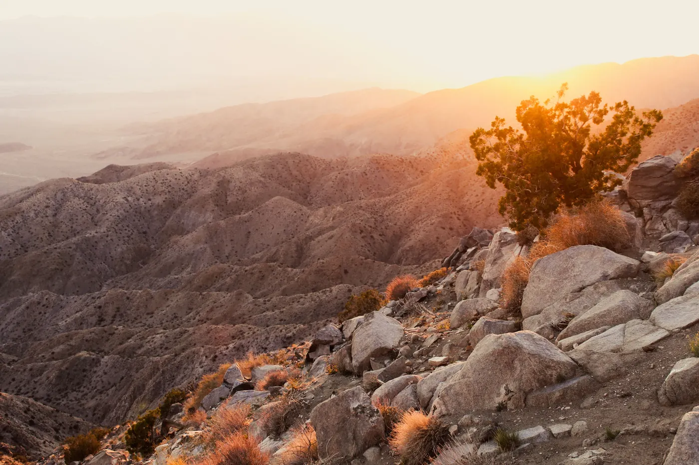 The view from Keys View out over the Coachella Valley