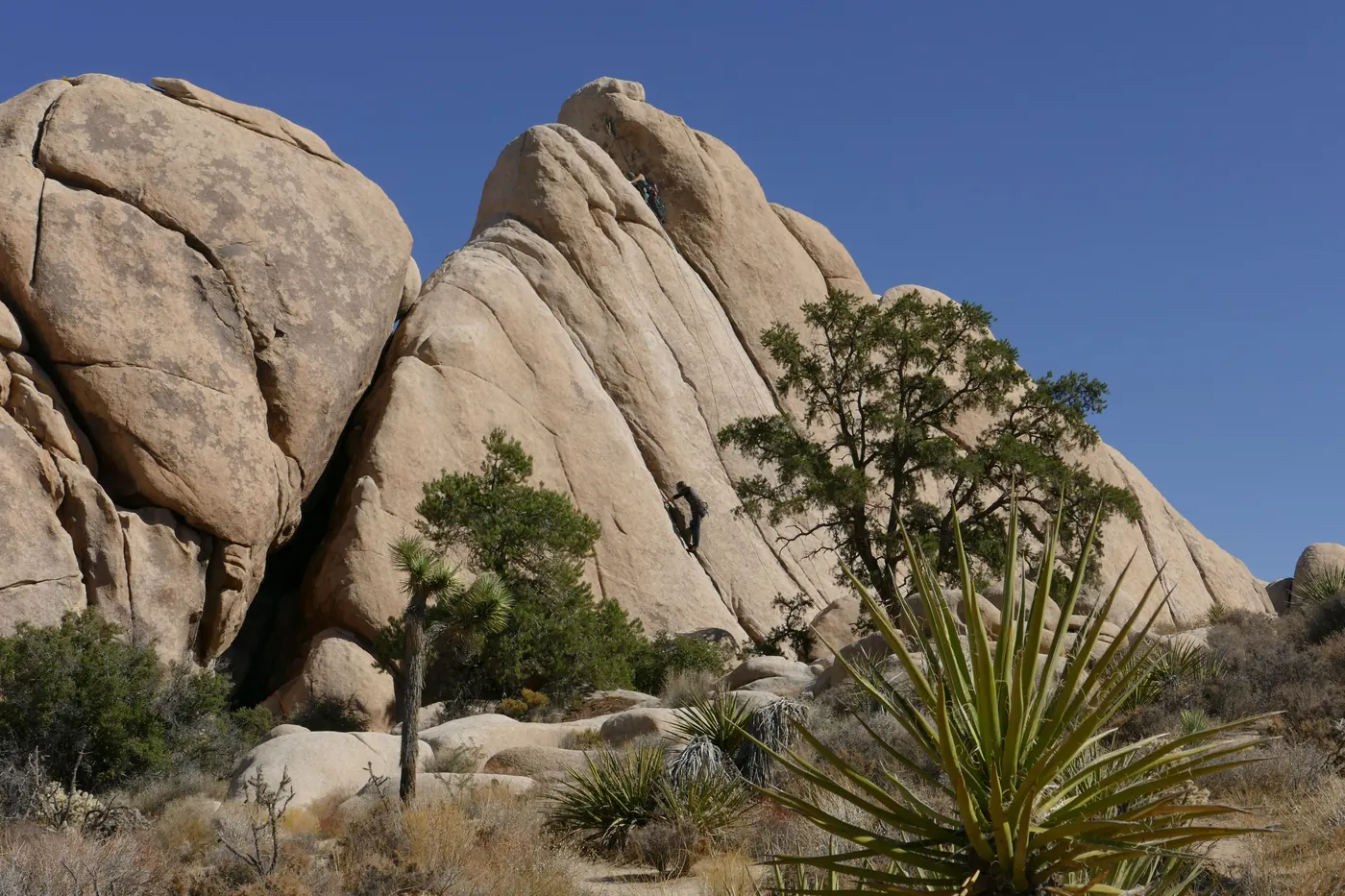 A climber on granite rock in Joshua Tree National Park
