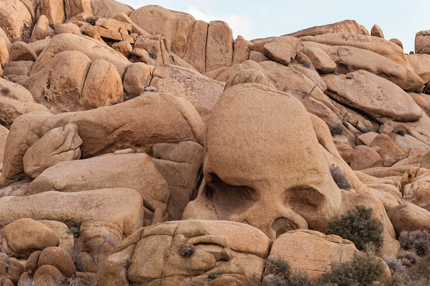 Skull Rock, a granite boulder with two deep hollows worn into it like eye sockets