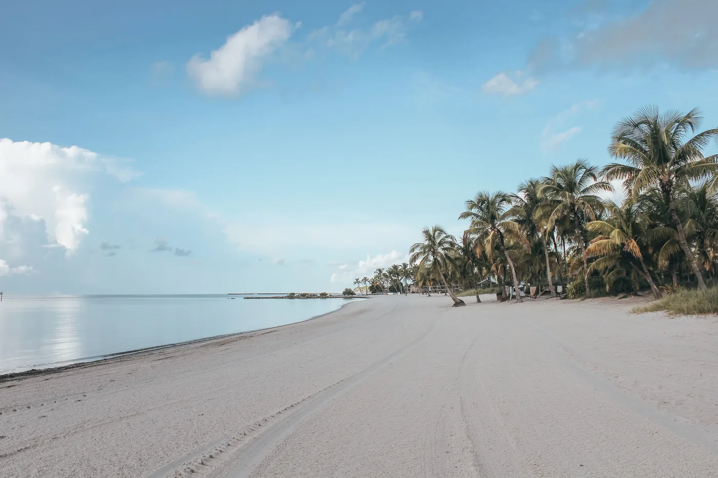 A quiet white sand beach lined with palm trees in Key West