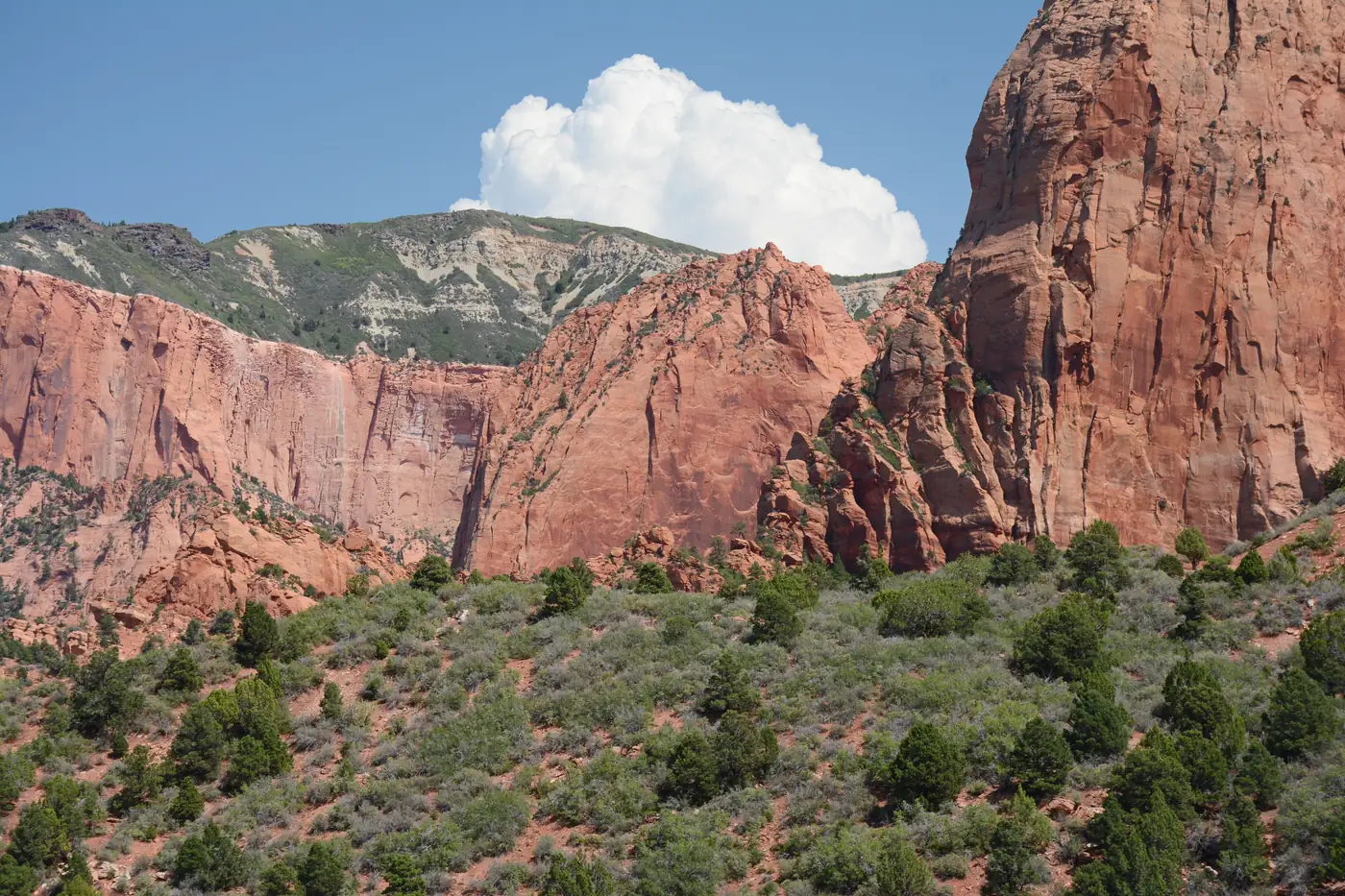 The deep red finger canyons of Kolob Canyons in Zion National Park