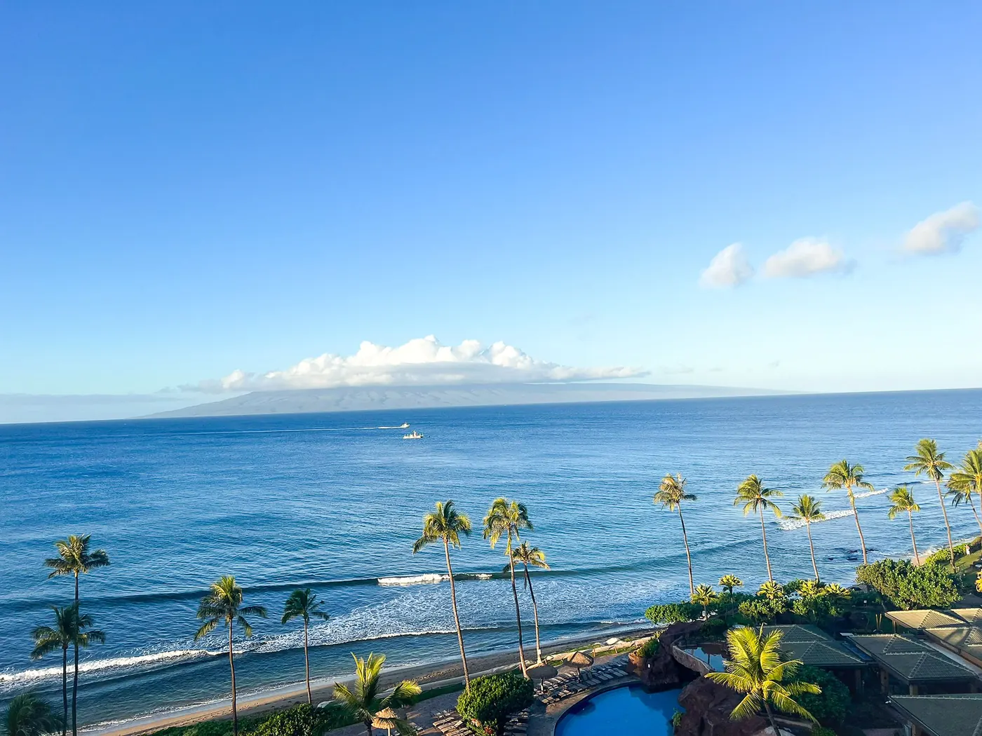 Palm trees and blue ocean along the Maui coastline