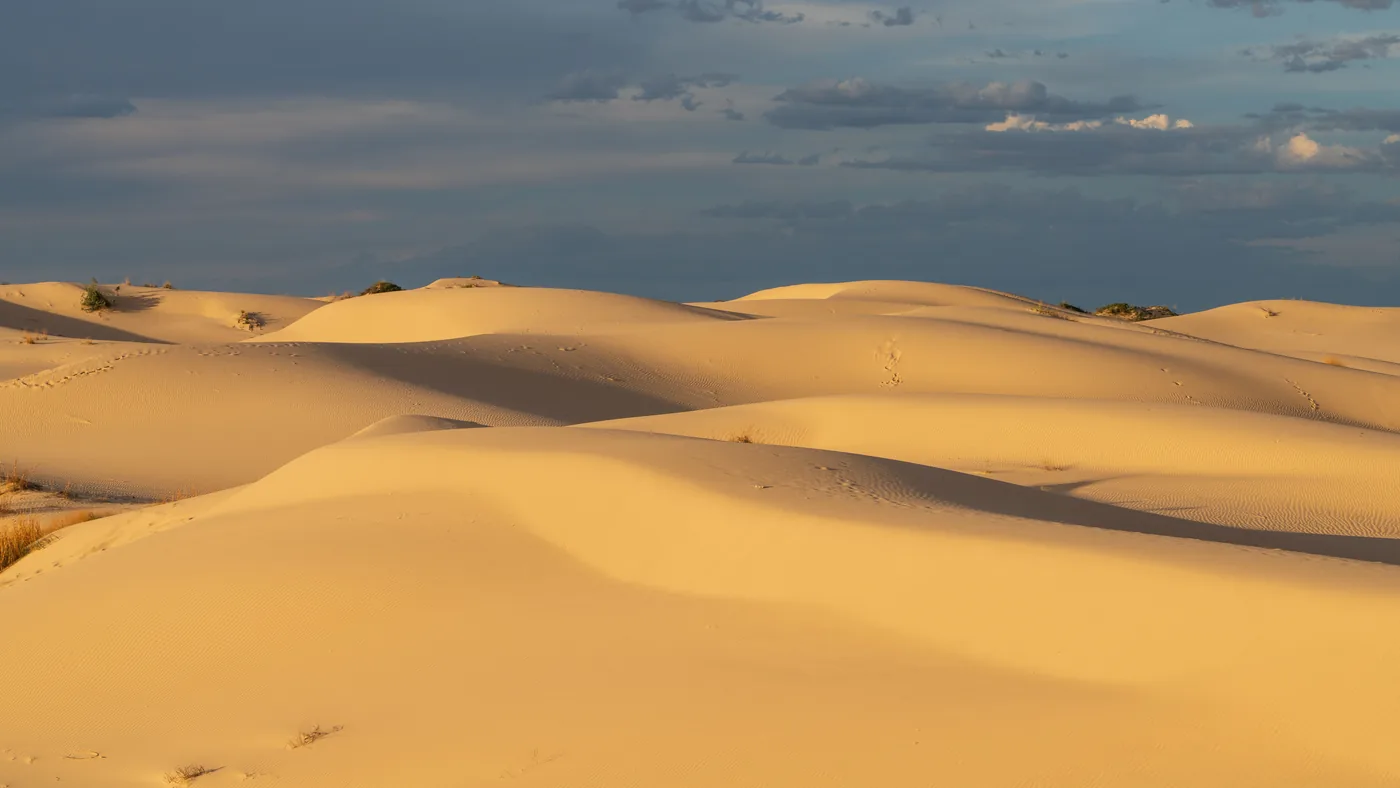 Sand dunes at sunset in Monahans Sandhills State Park