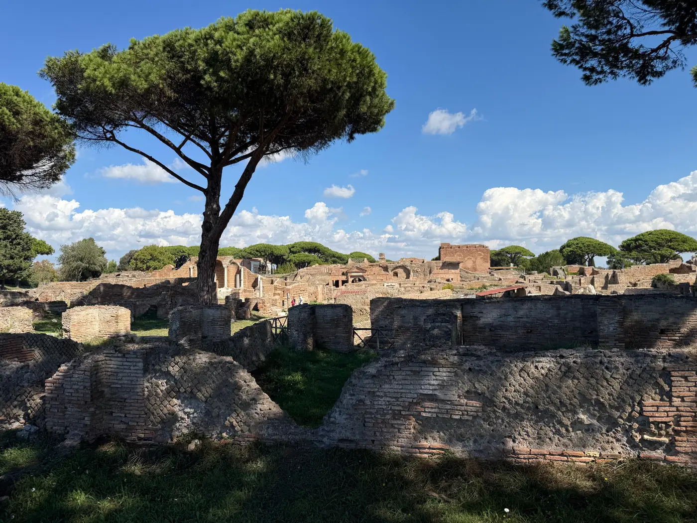 The ruins of Ostia Antica under an umbrella pine