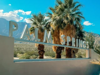 The Palm Springs city sign with palm trees and Mount San Jacinto behind it