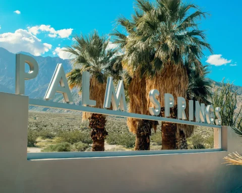 The Palm Springs city sign with palm trees and Mount San Jacinto behind it