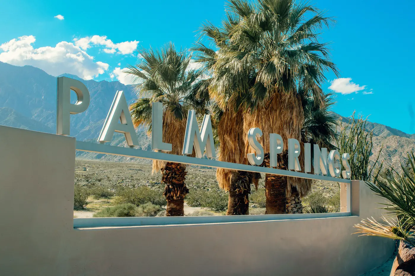 The Palm Springs city sign with palm trees and Mount San Jacinto behind it