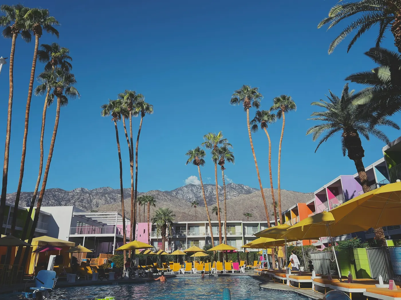 A Palm Springs hotel pool lined with yellow umbrellas and palms with Mount San Jacinto behind