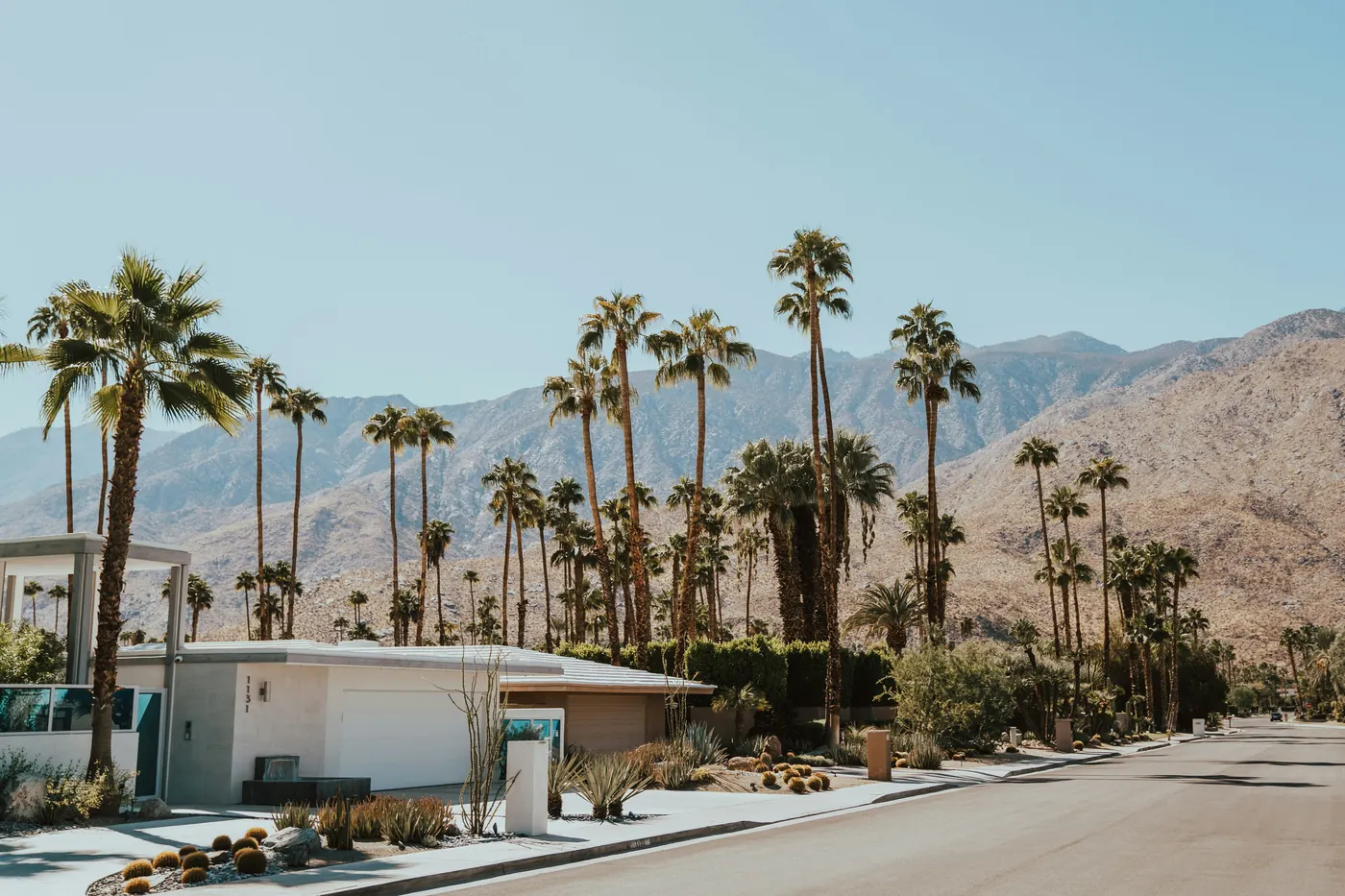 A flat roofed mid century modern house with palms and desert mountains behind it in Palm Springs
