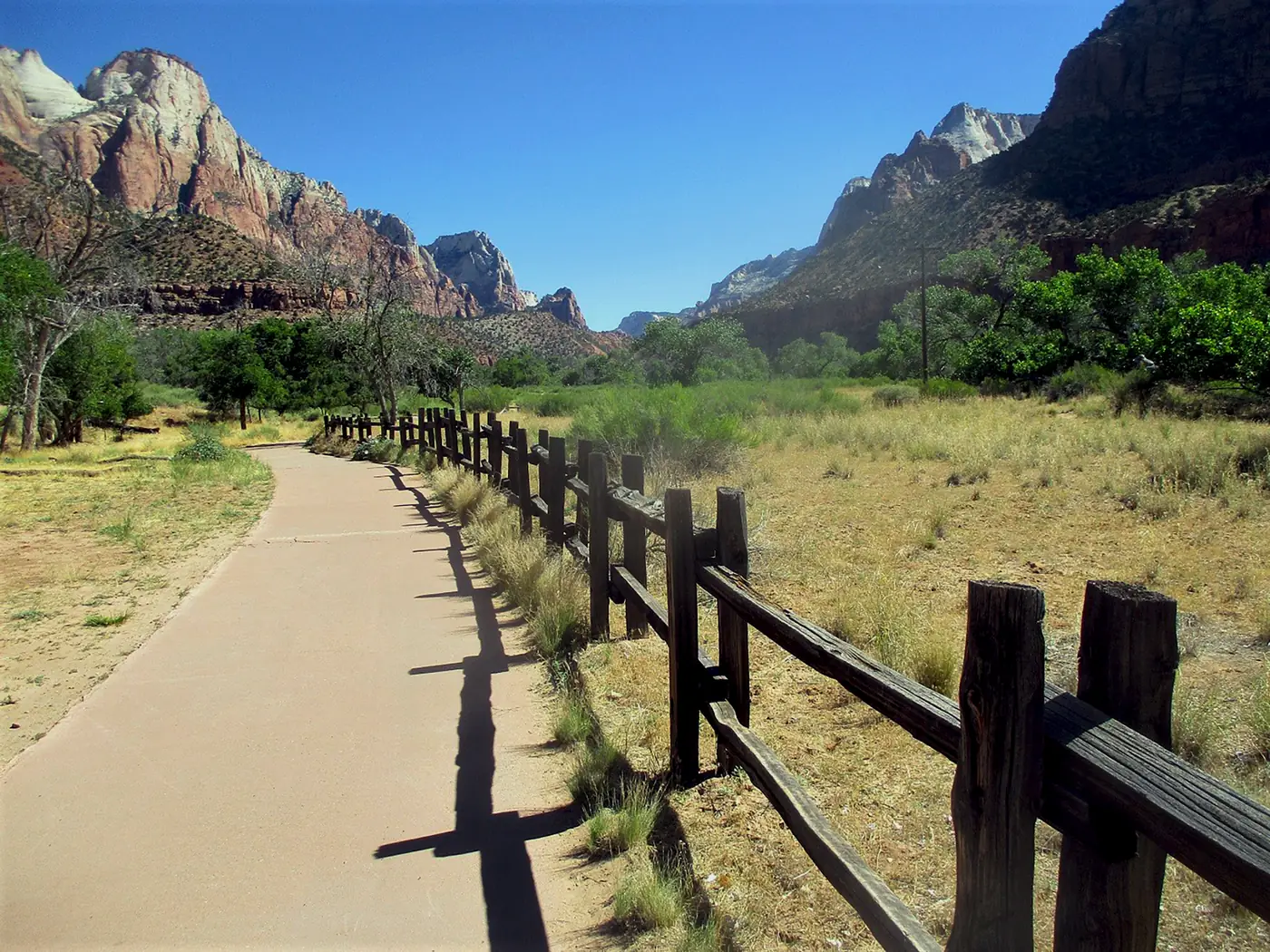The paved Pa'rus Trail running through open meadow below the canyon walls in Zion