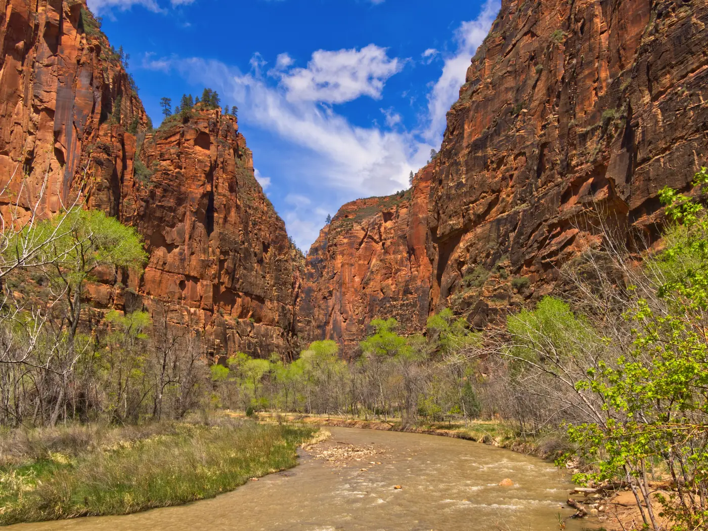 The canyon narrowing above the riverbed near the Riverside Walk in Zion