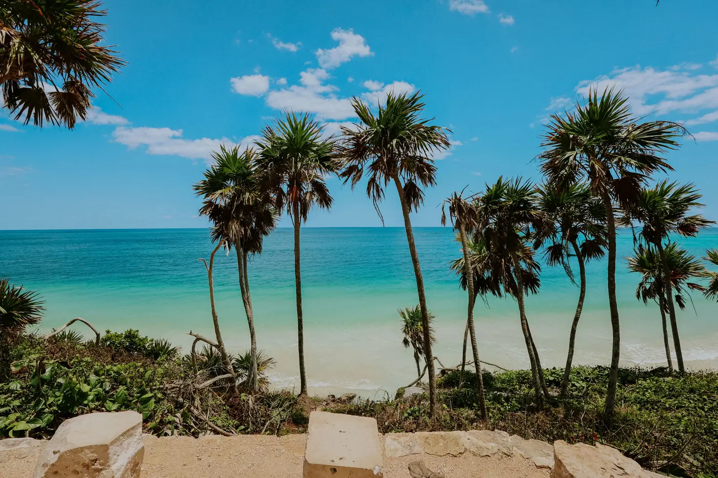 Palm trees over turquoise water on the beach at Tulum in Mexico