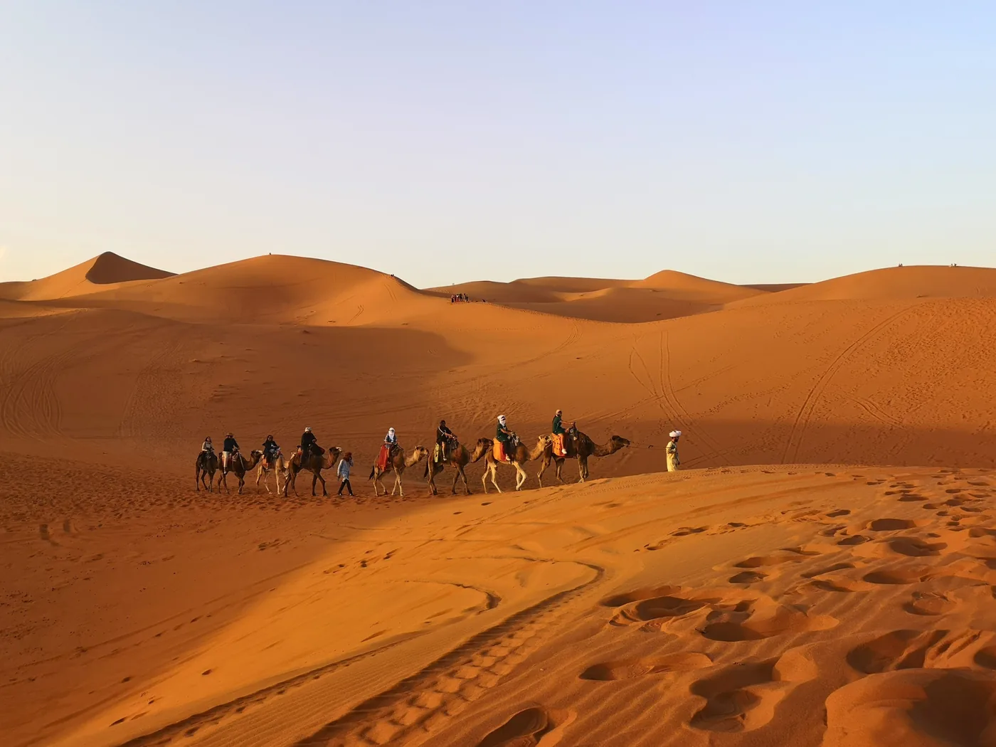 A camel caravan crossing Sahara dunes at sunset
