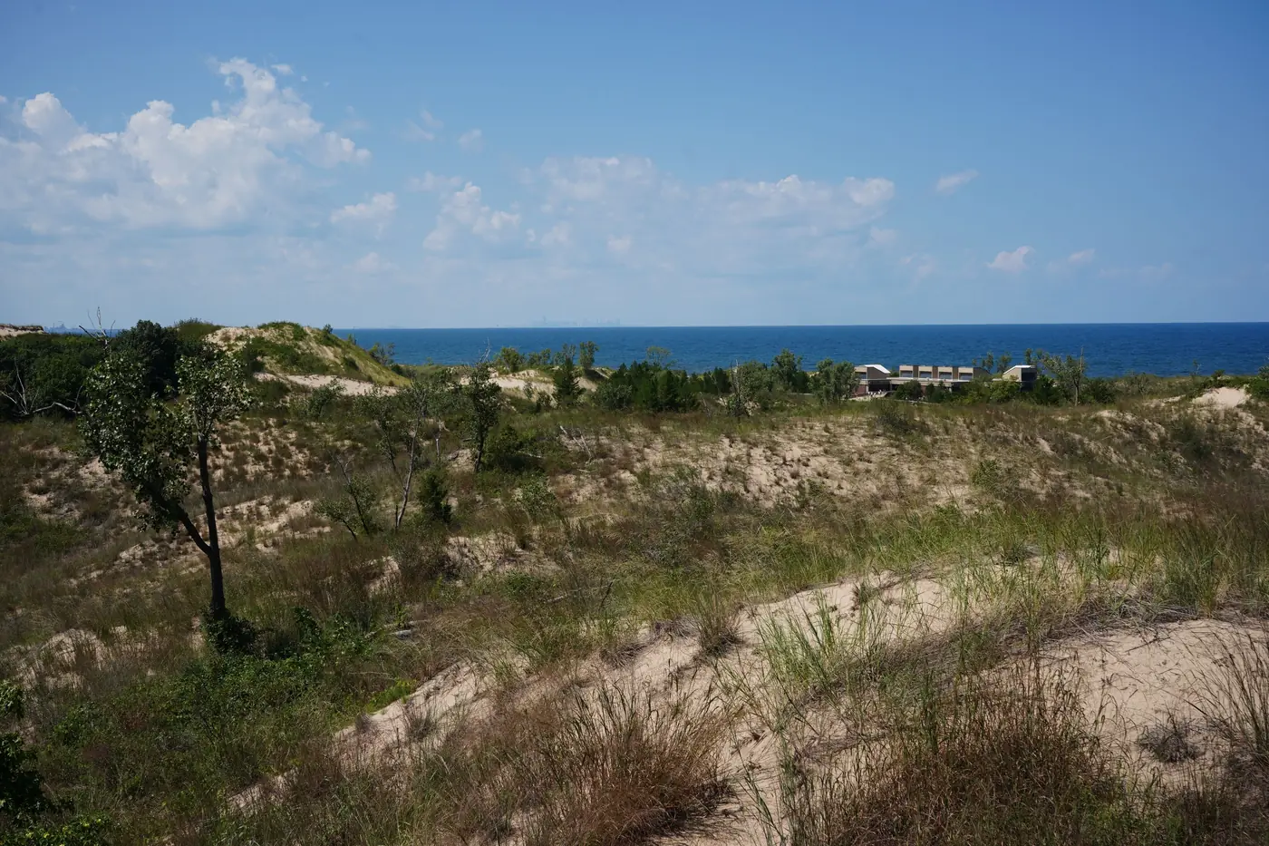 Sand dunes along the Lake Michigan shore
