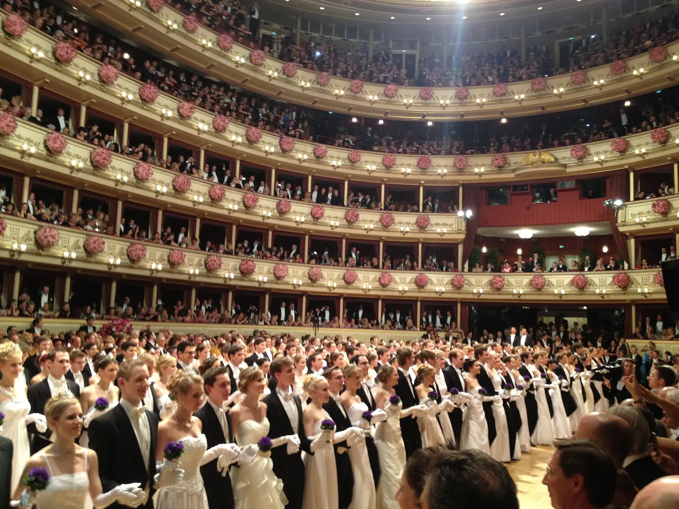 Debutantes in white gowns lined up on the floor of the Vienna Opera Ball
