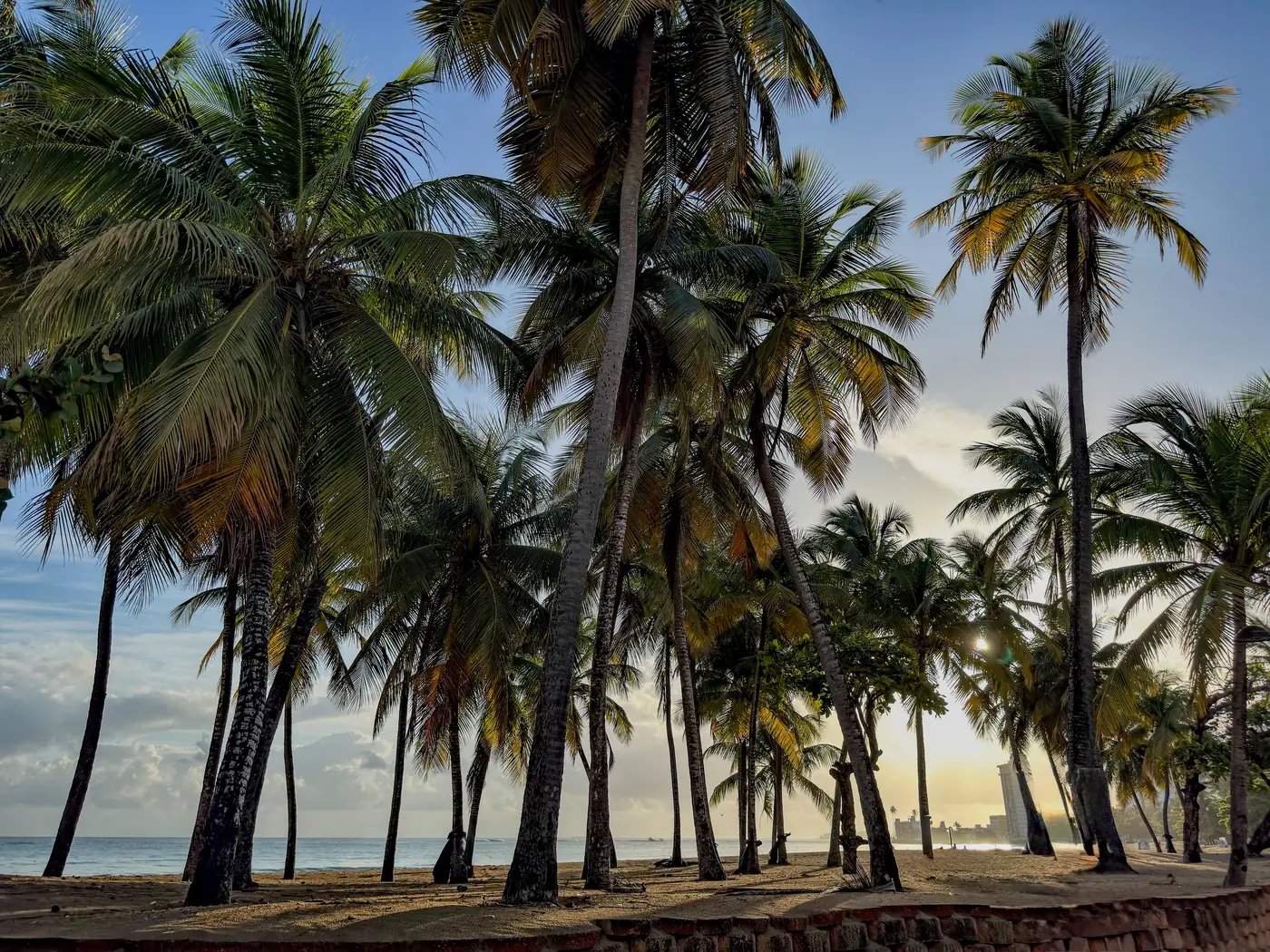 Palm trees silhouetted at sunrise on a San Juan beach