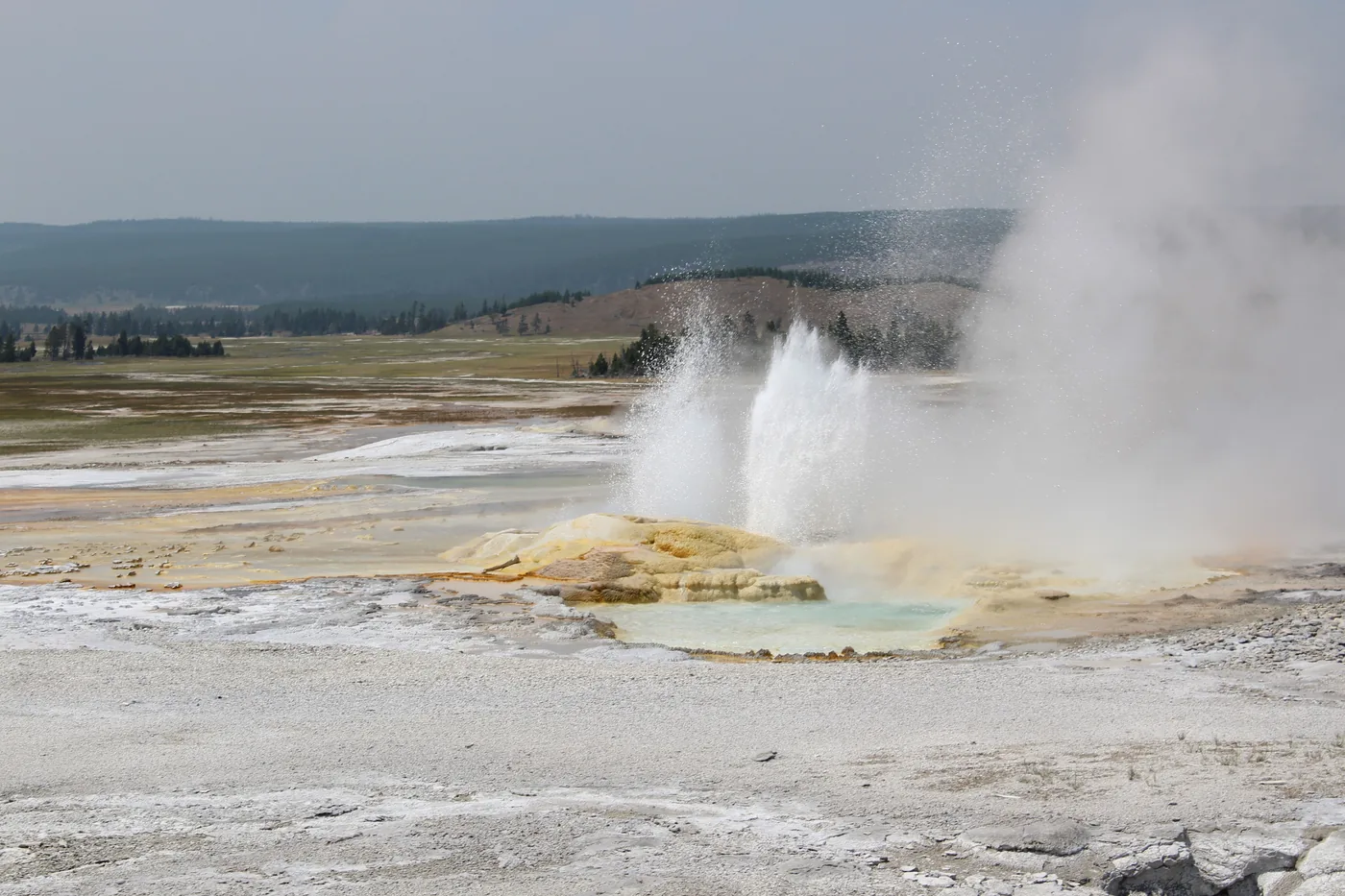 A geyser erupting against a clear sky in Yellowstone National Park