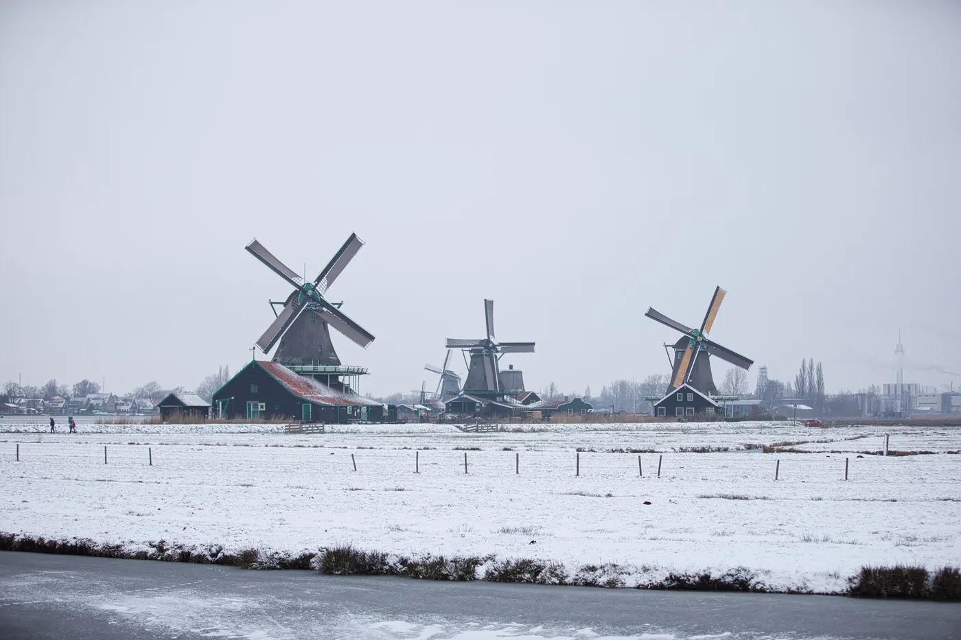 The windmills at Zaanse Schans standing over snow covered fields and a frozen canal