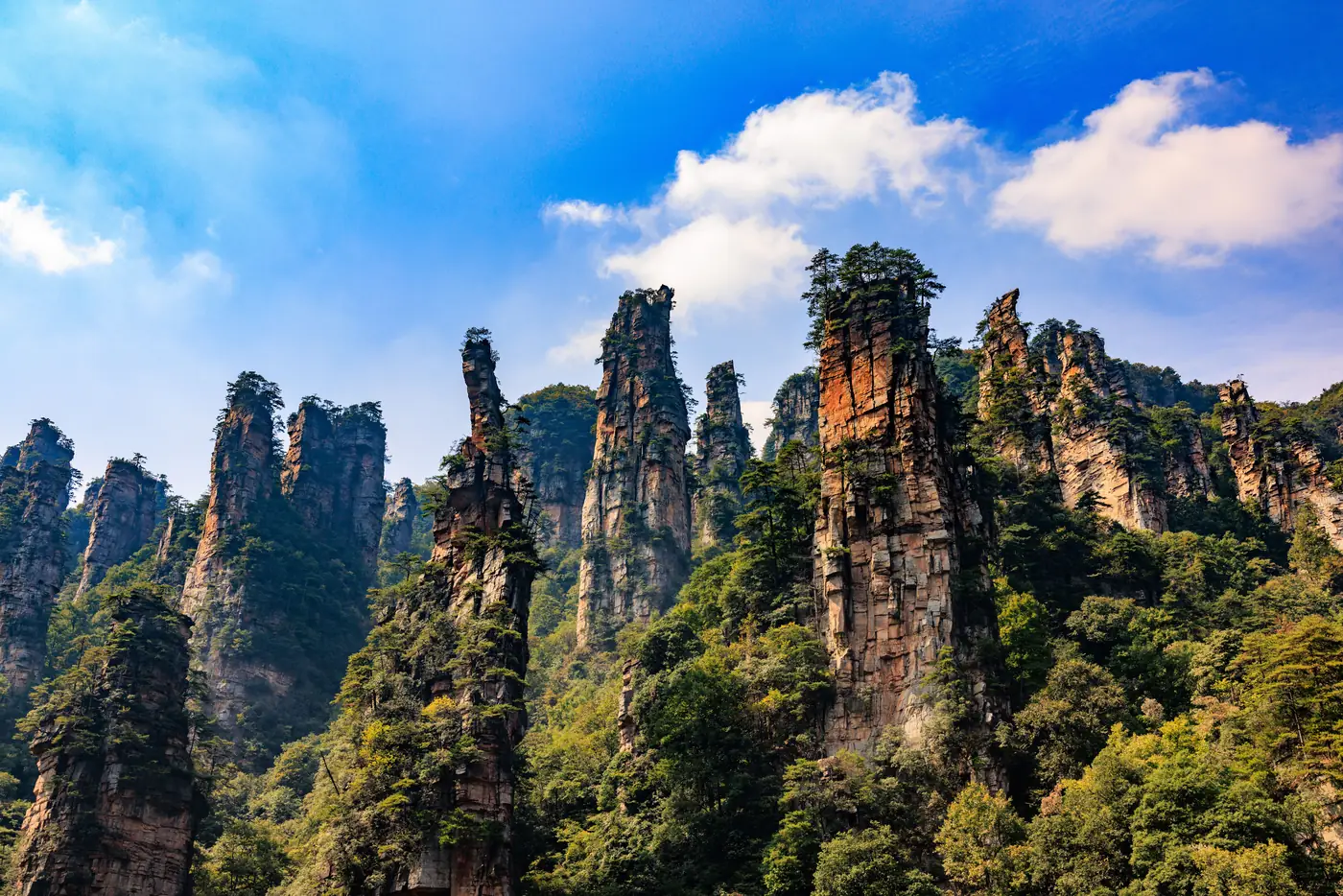 Sandstone pillars rising from the forest at Zhangjiajie