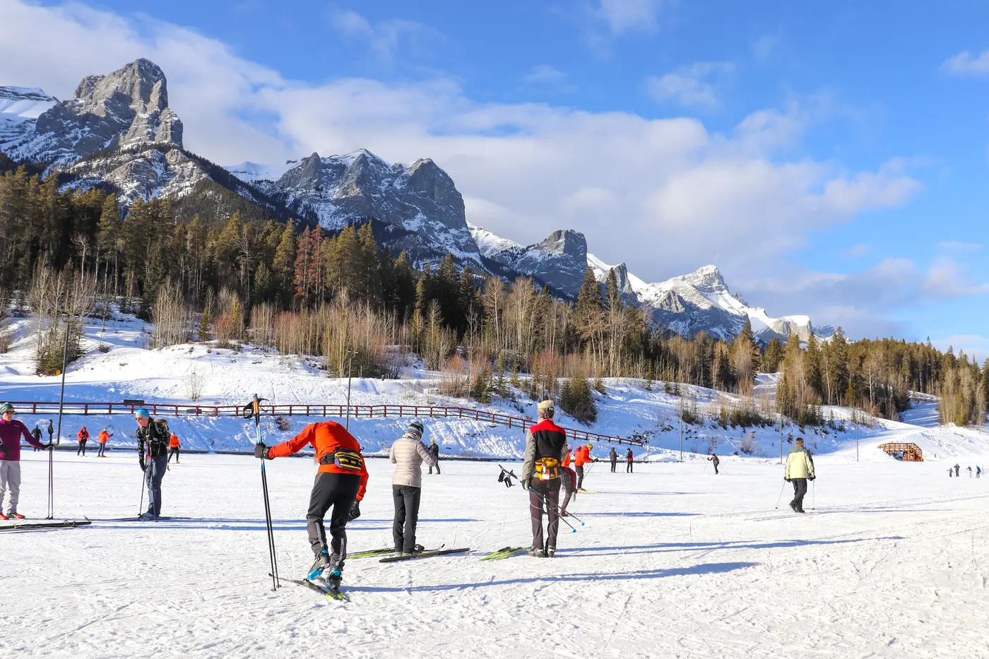 Cross country skiers on a groomed trail in the Alberta Rockies